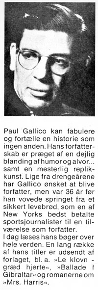 Flap2.jpg (ca. 40 Kb)