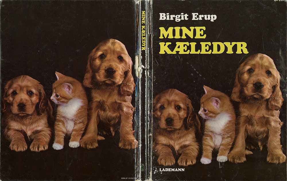 omslaget.jpg (ca. 80 Kb)