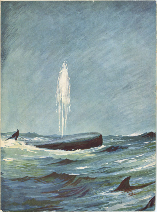 1951.jpg (ca. 80 Kb)