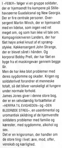 Flap1.jpg (ca. 40 Kb)