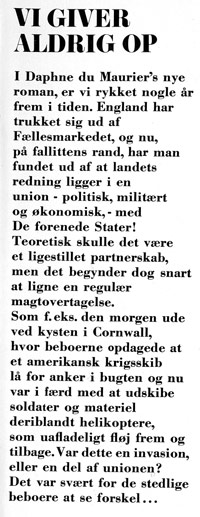 Flap1.jpg (ca. 40 Kb)